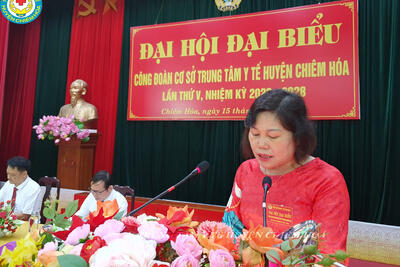 Dai_bieu_Ha_Thi_Huong_phat_bieu_tham_luan_tai_DH