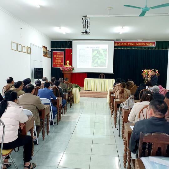 Y học cổ truyền