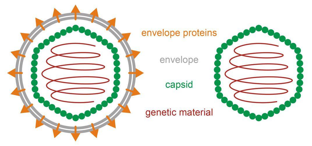 Tầm quan trọng của rửa tay trong phòng ngừa COVID-19 Tầm quan trọng của rửa tay trong phòng ngừa COVID-19